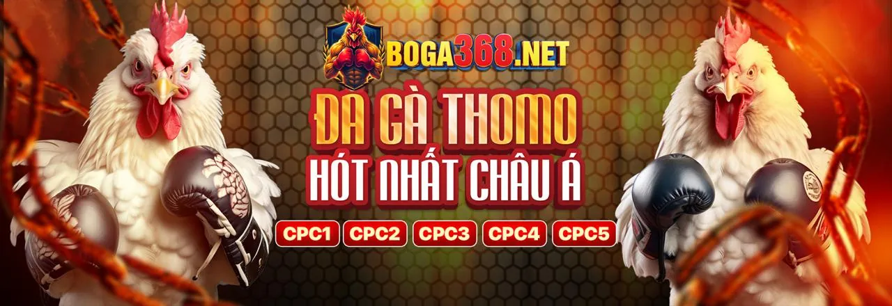 Cá cược có trách nhiệm tại debet2 casino